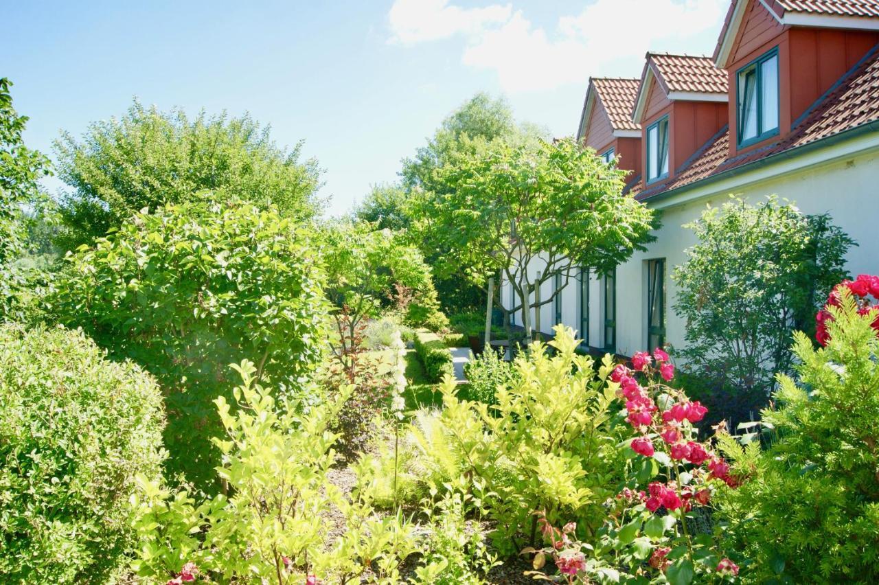 Ferienbungalow Haus Am Teich Boltenhagen  Zewnętrze zdjęcie
