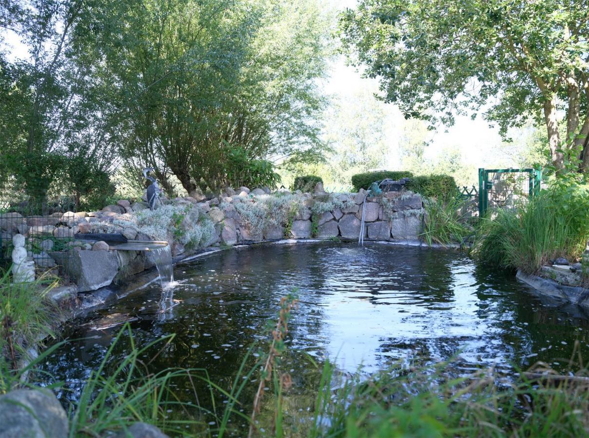 Ferienbungalow Haus Am Teich Boltenhagen  Zewnętrze zdjęcie